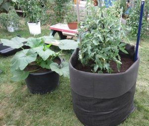 Compost Sack