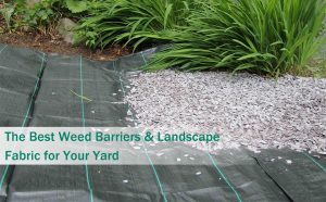 Weed Barrier